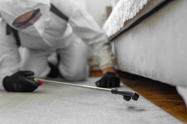 Professional Bed Bug Control technician working in Northwest Harbor, NY