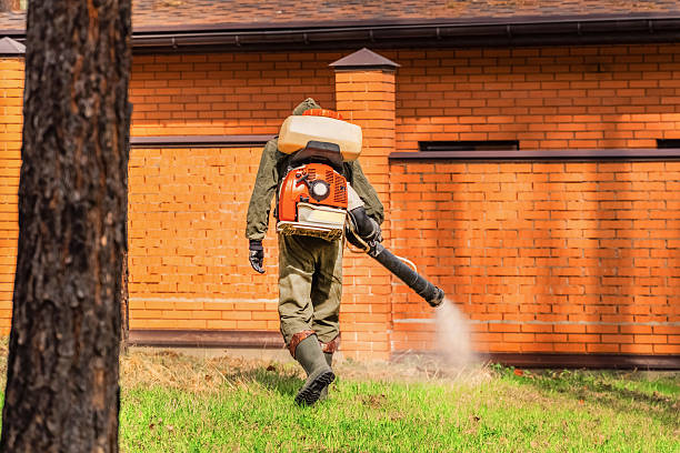 Trusted Termite Control service in Northwest Harbor, NY - Nex Pest Control